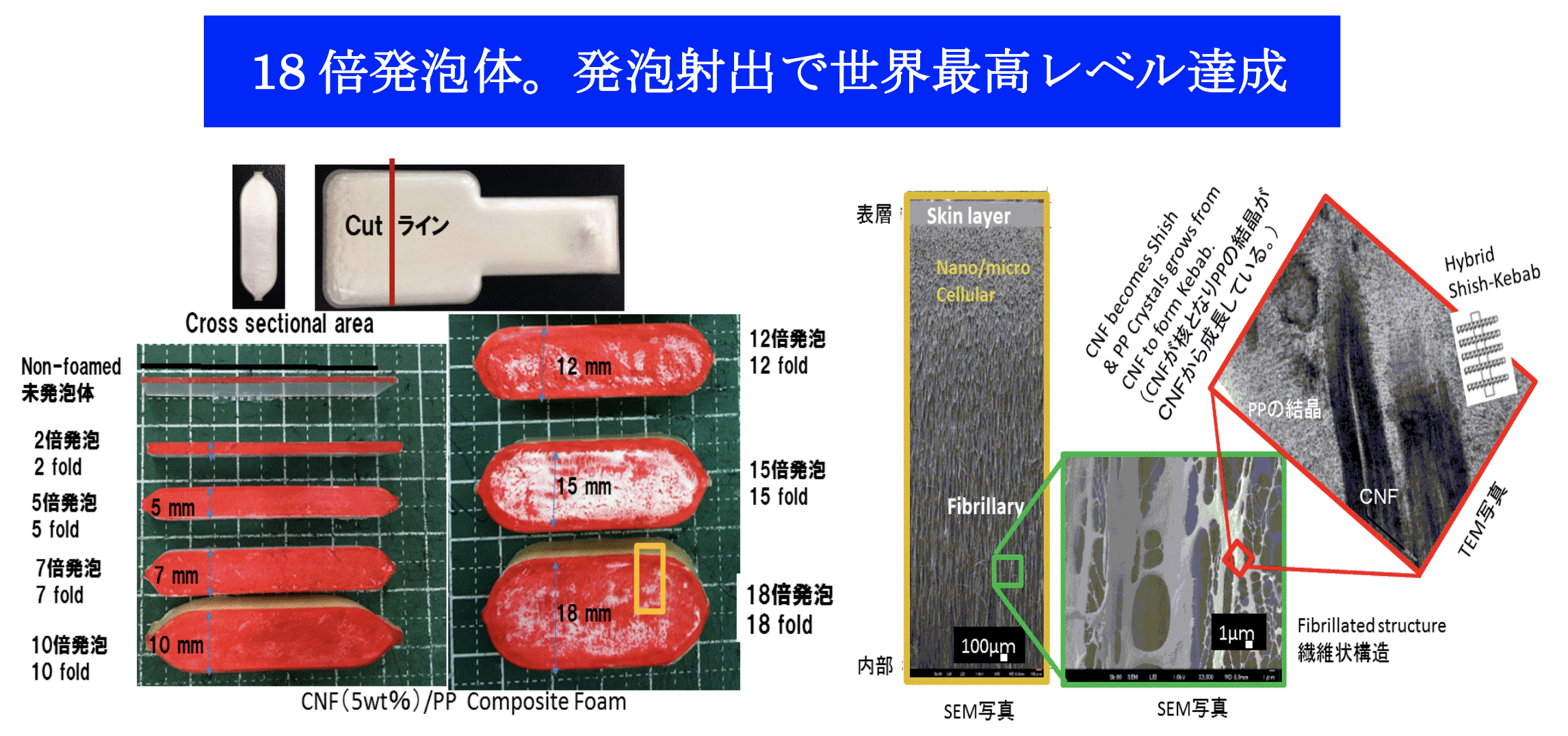 京都大学材料プロセス工学研究室